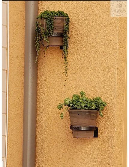 The Hudson Wall Mounted Potholder Plant Holder 6" Pot Finish Clear Coat | Industrial Farm Co