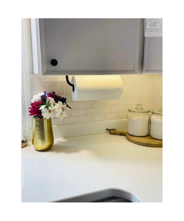 The Hyde Hall Paper Towel Holder Paper Towel Holder Open on the Left Finish Silver Powder Coat | Industrial Farm Co